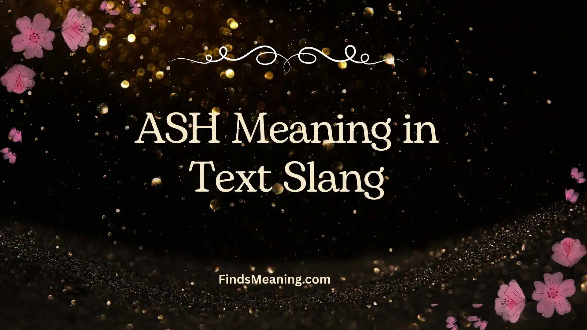 ASH Meaning in Text Slang