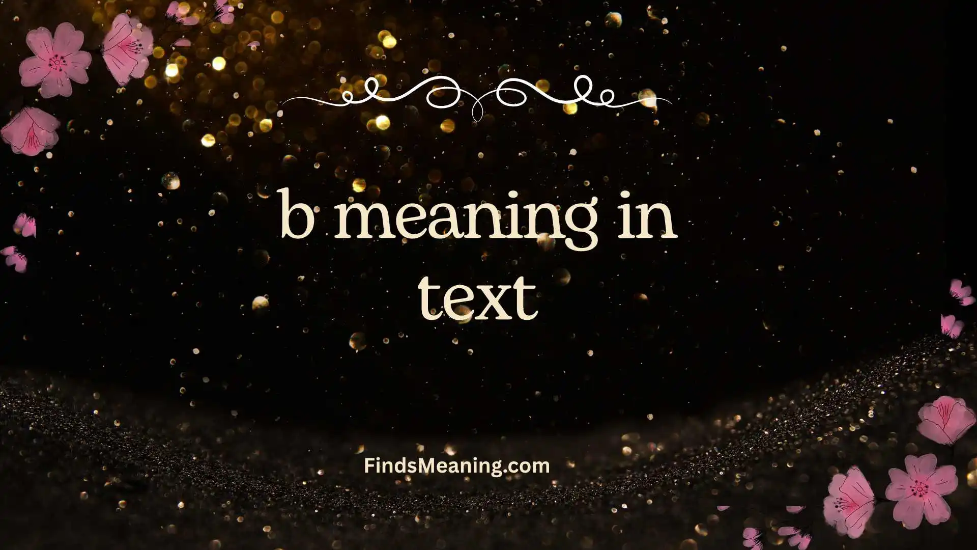 b meaning in text
