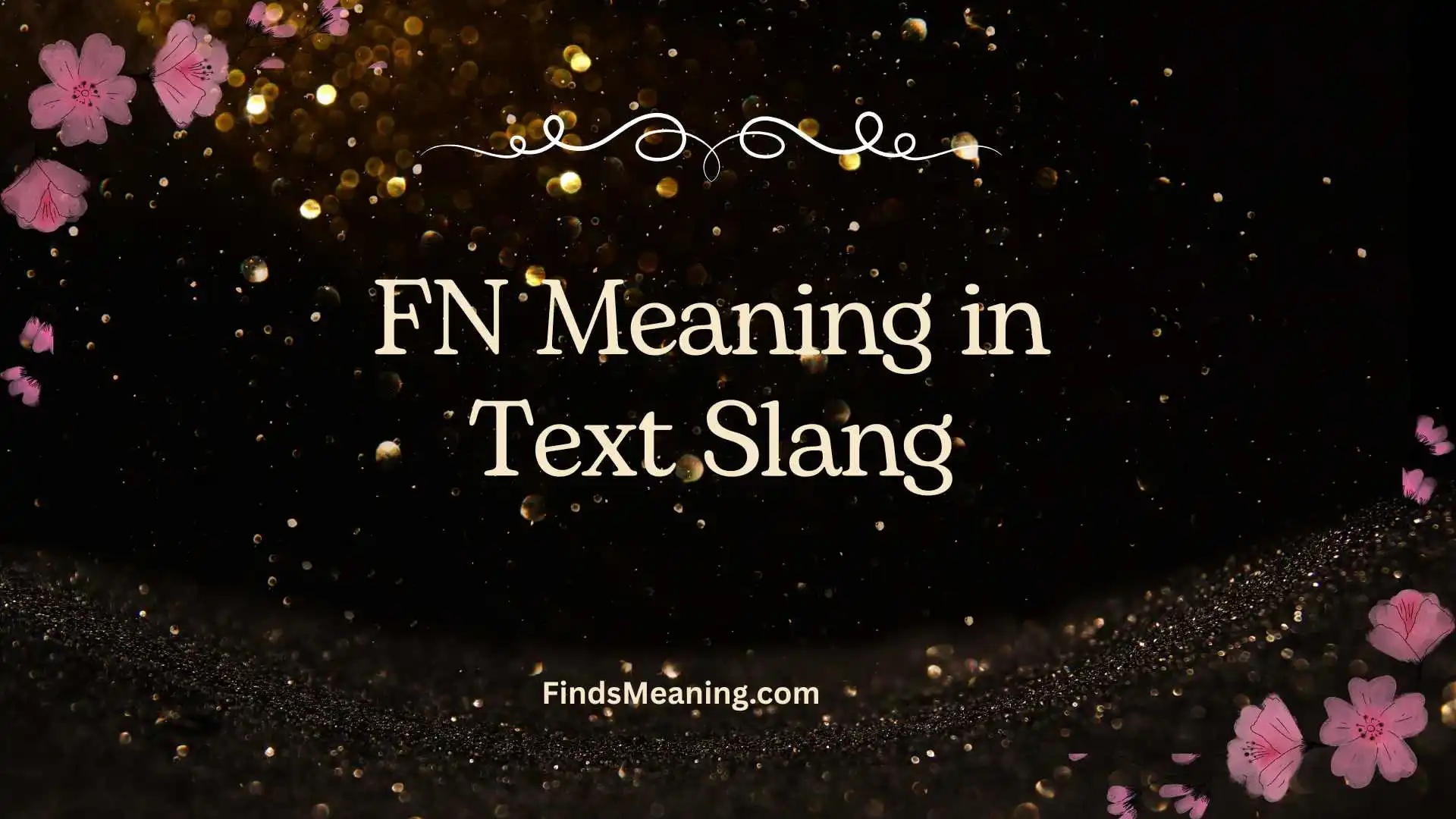 FN Meaning in Text Slang