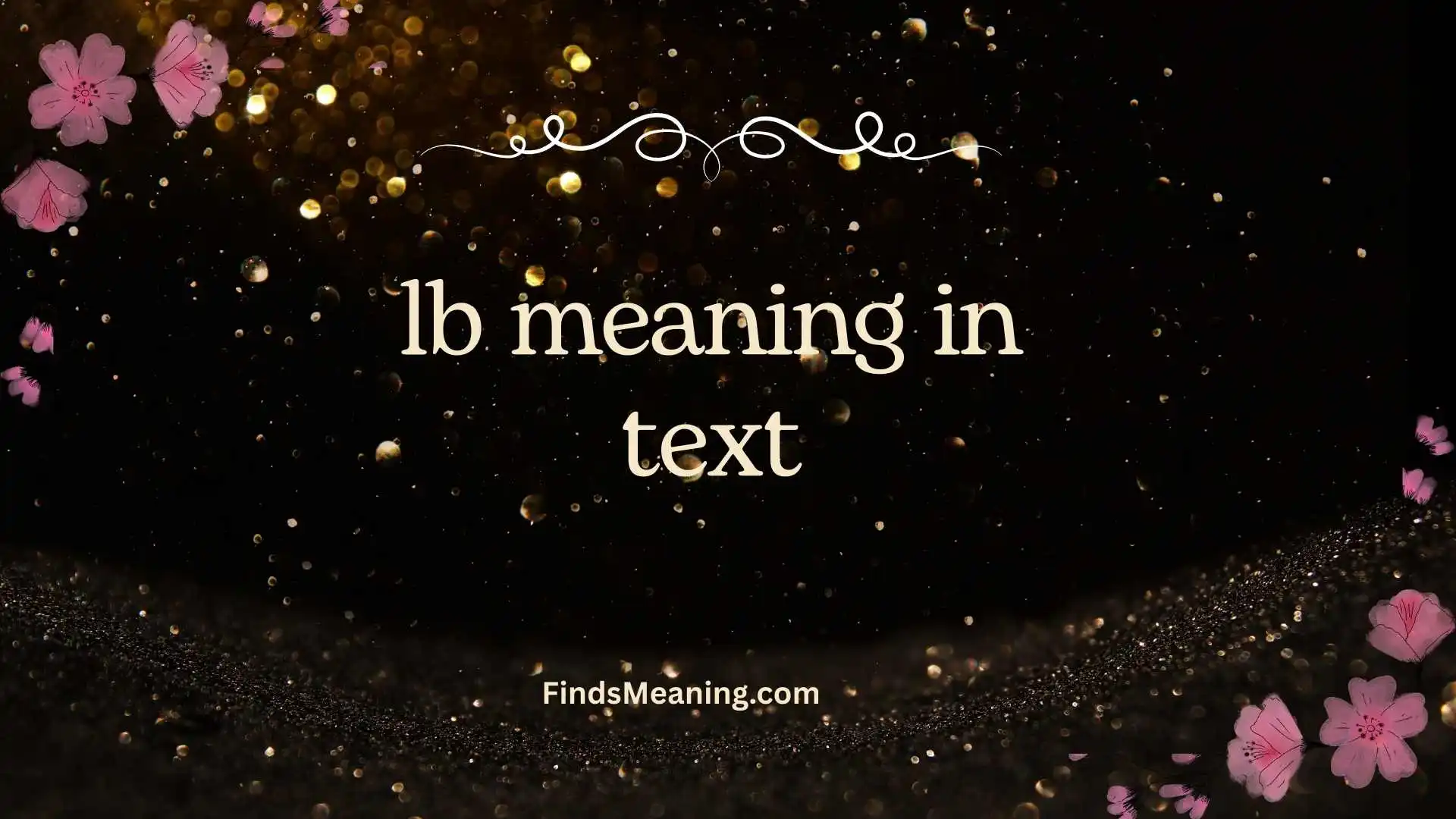lb meaning in text