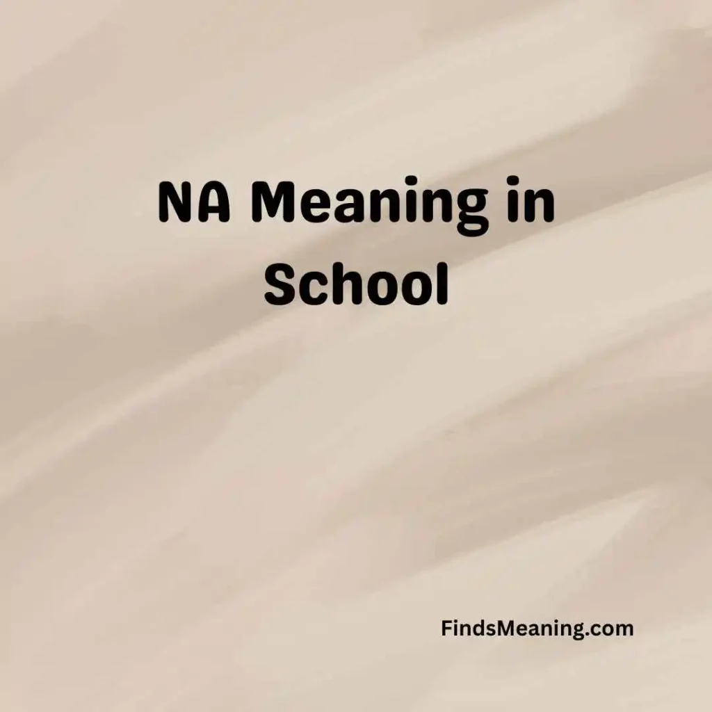 NA Meaning in School