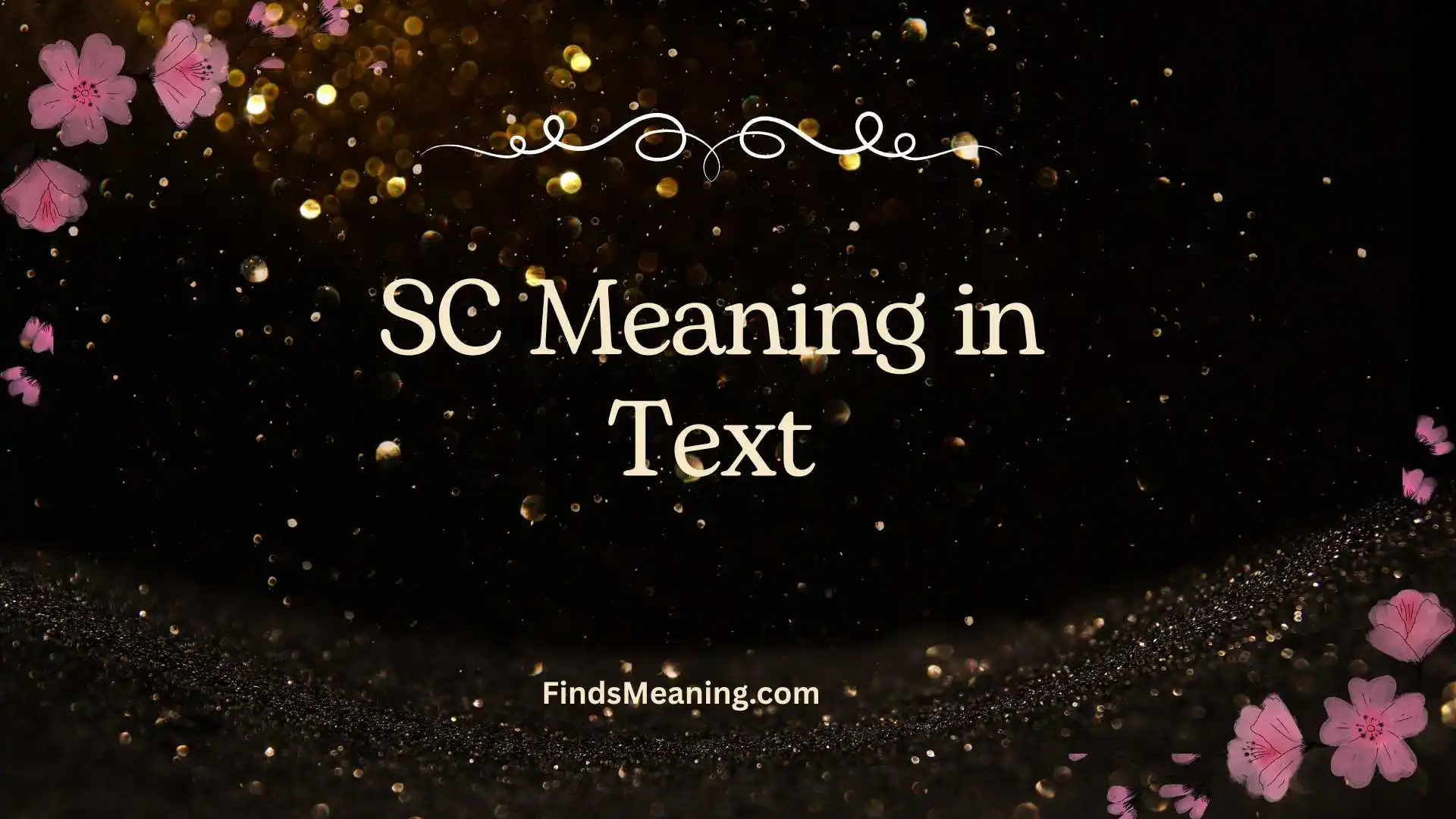SC Meaning in Text
