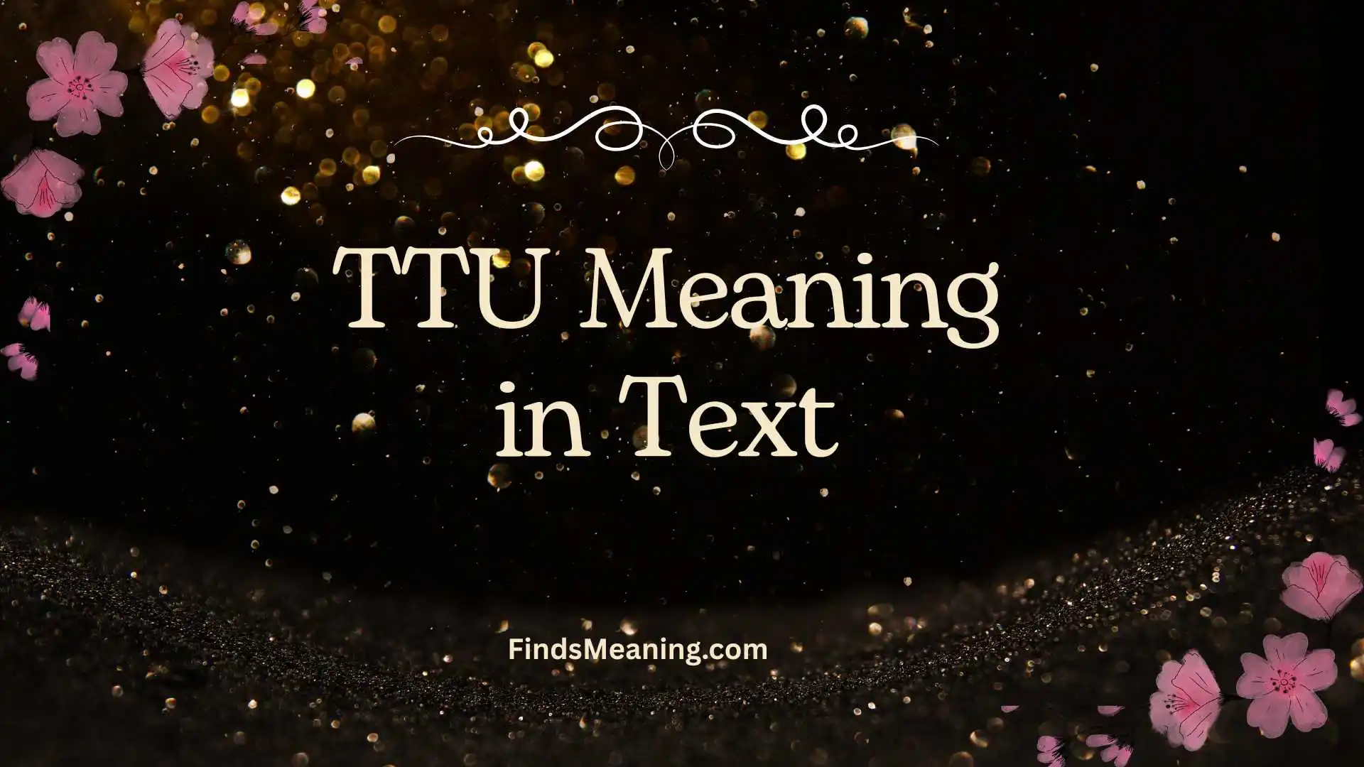 TTU Meaning in Text