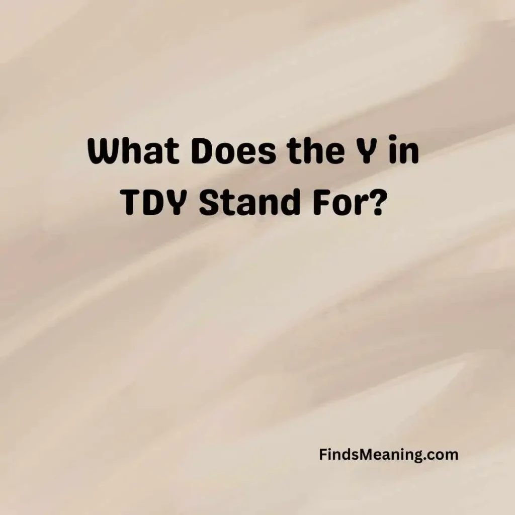 What Does the Y in TDY Stand For