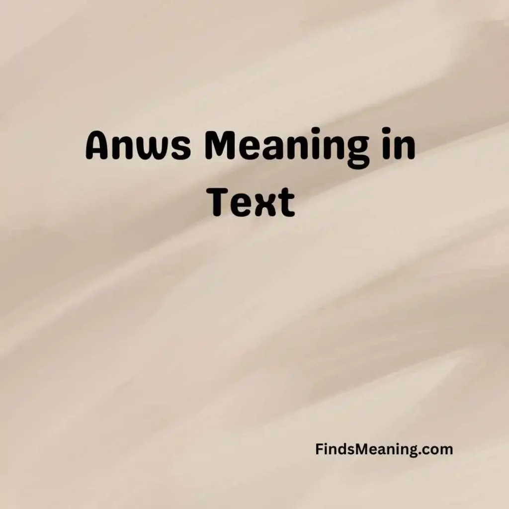 Anws Meaning in Text