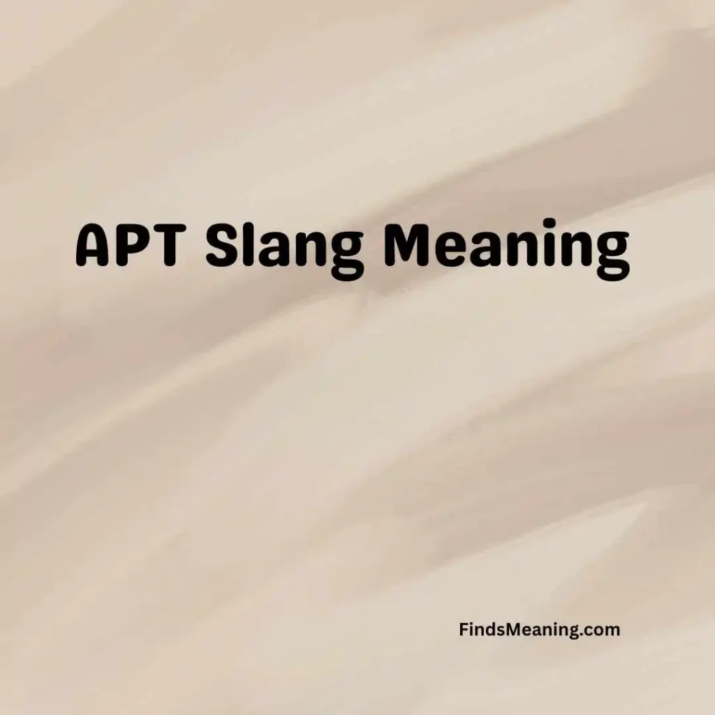 APT Slang Meaning