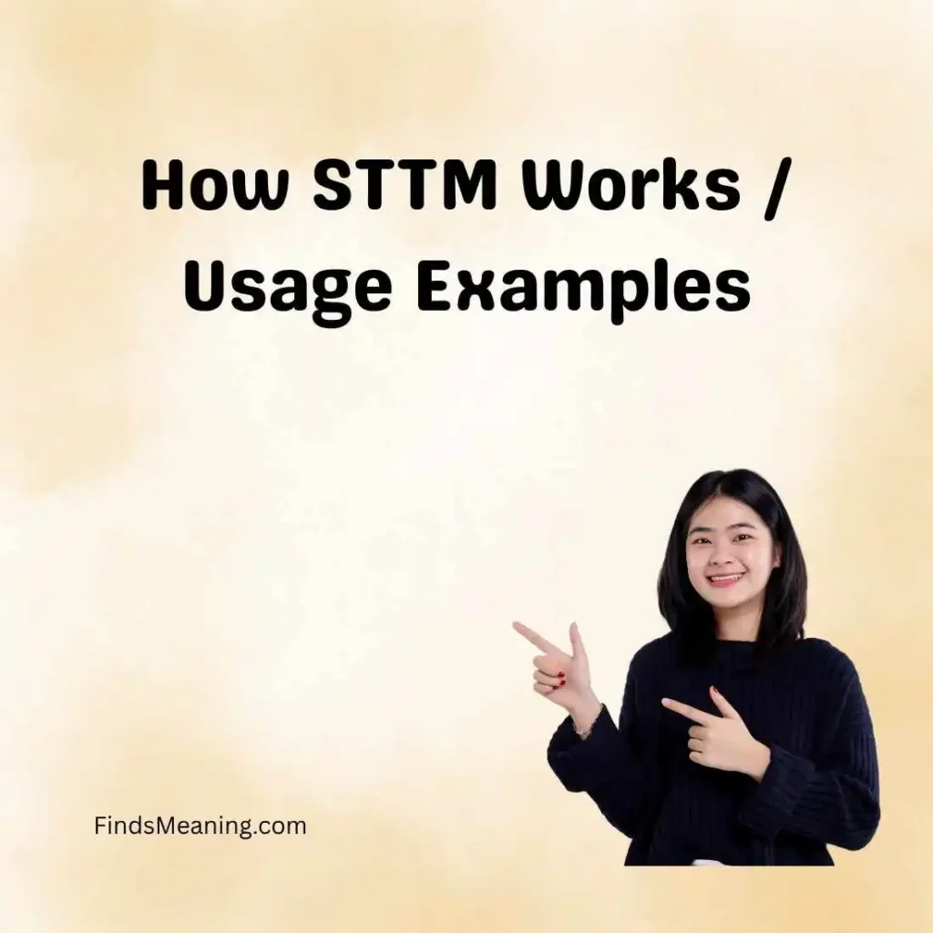 How STTM Works / Usage Examples