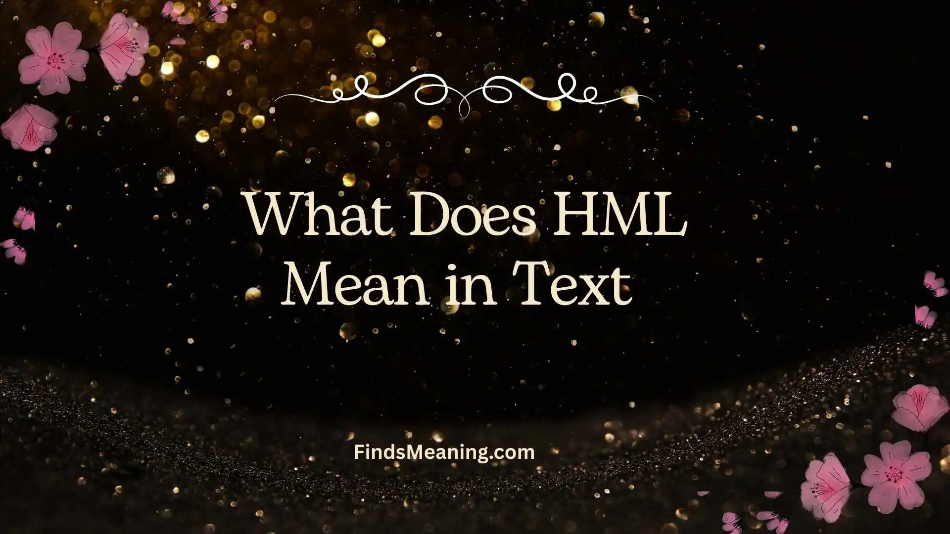 What Does HML Mean in Text
