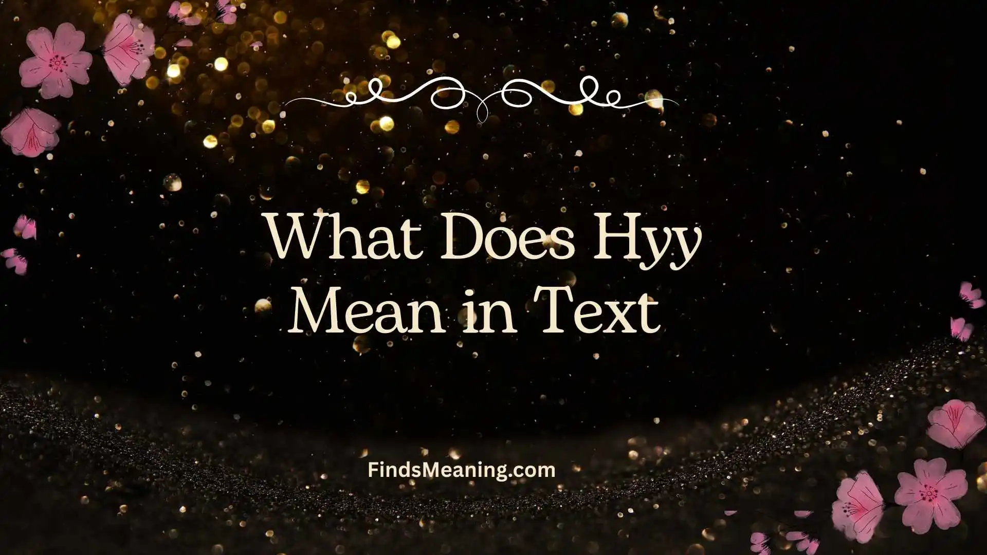 What Does Hyy Mean in Text 