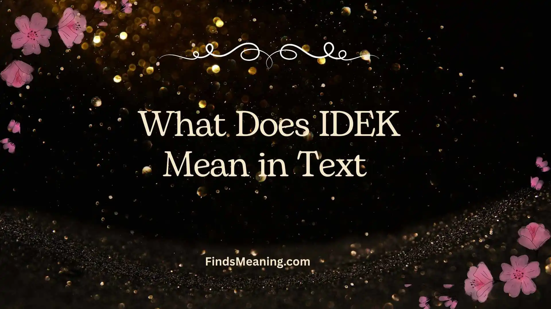 What Does IDEK Mean in Text 