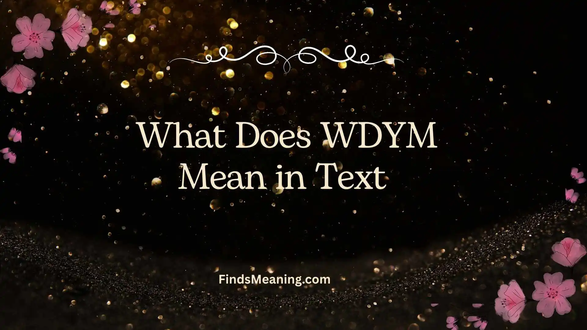 What Does WDYM Mean in Text 
