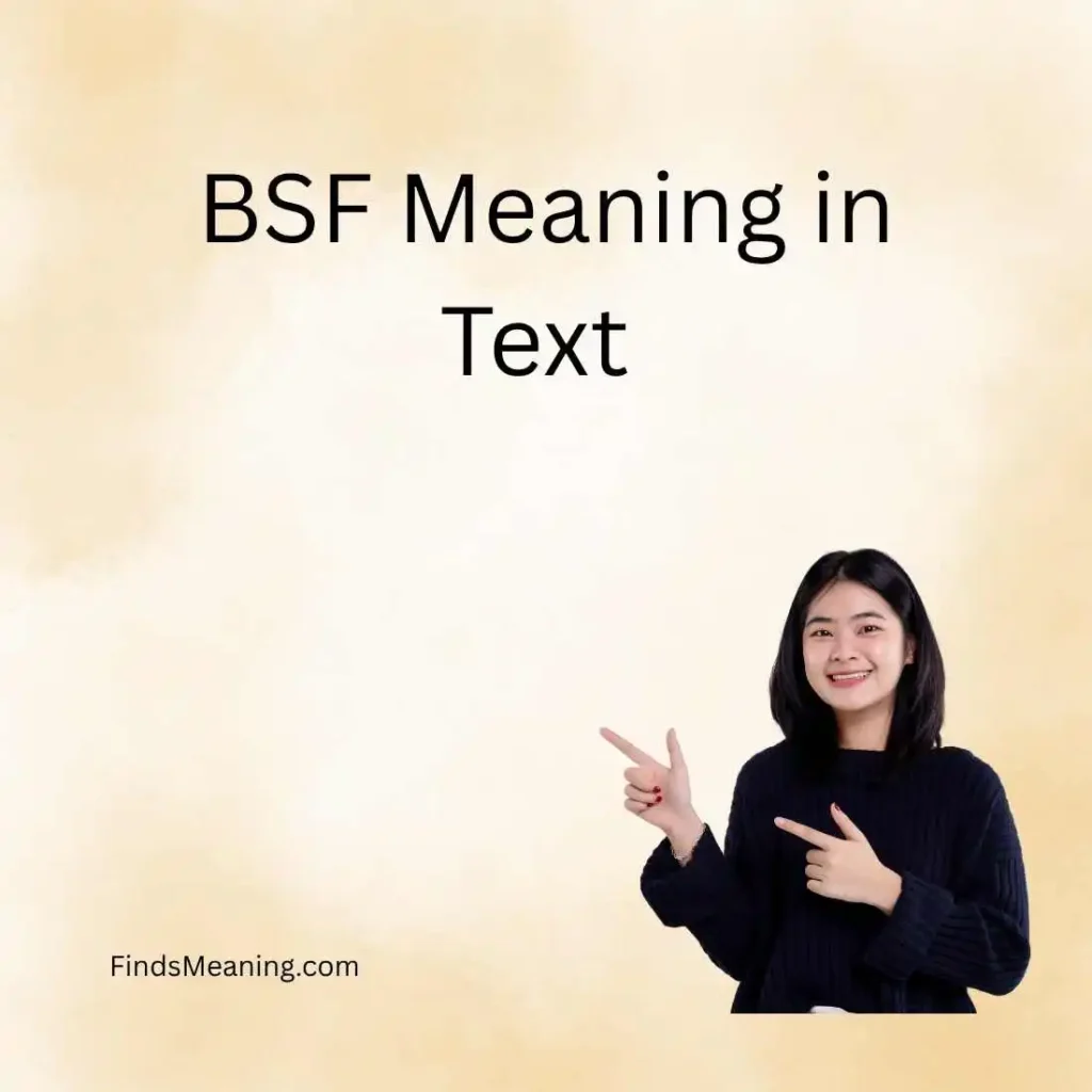 BSF Meaning in Text 