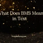 What Does BMS Mean in Text 