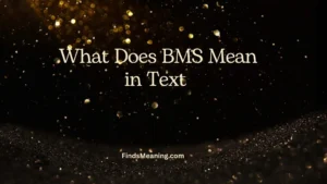 What Does BMS Mean in Text 