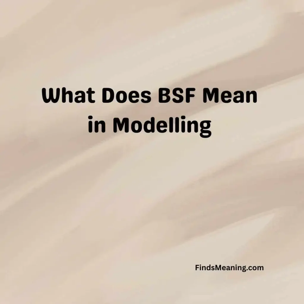 What Does BSF Mean in Modelling