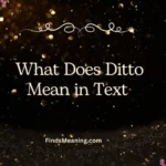 What Does Ditto Mean in Text 