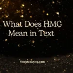 What Does HMG Mean in Text 