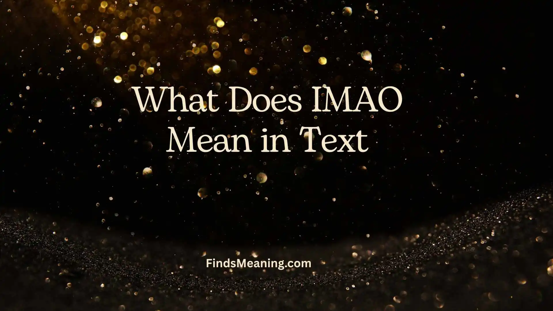 What Does IMAO Mean in Text