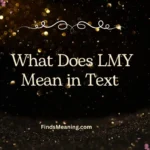 What Does LMY Mean in Text 