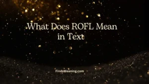 What Does ROFL Mean in Text 