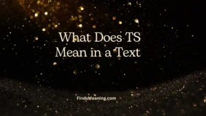 What Does TS Mean in a Text 