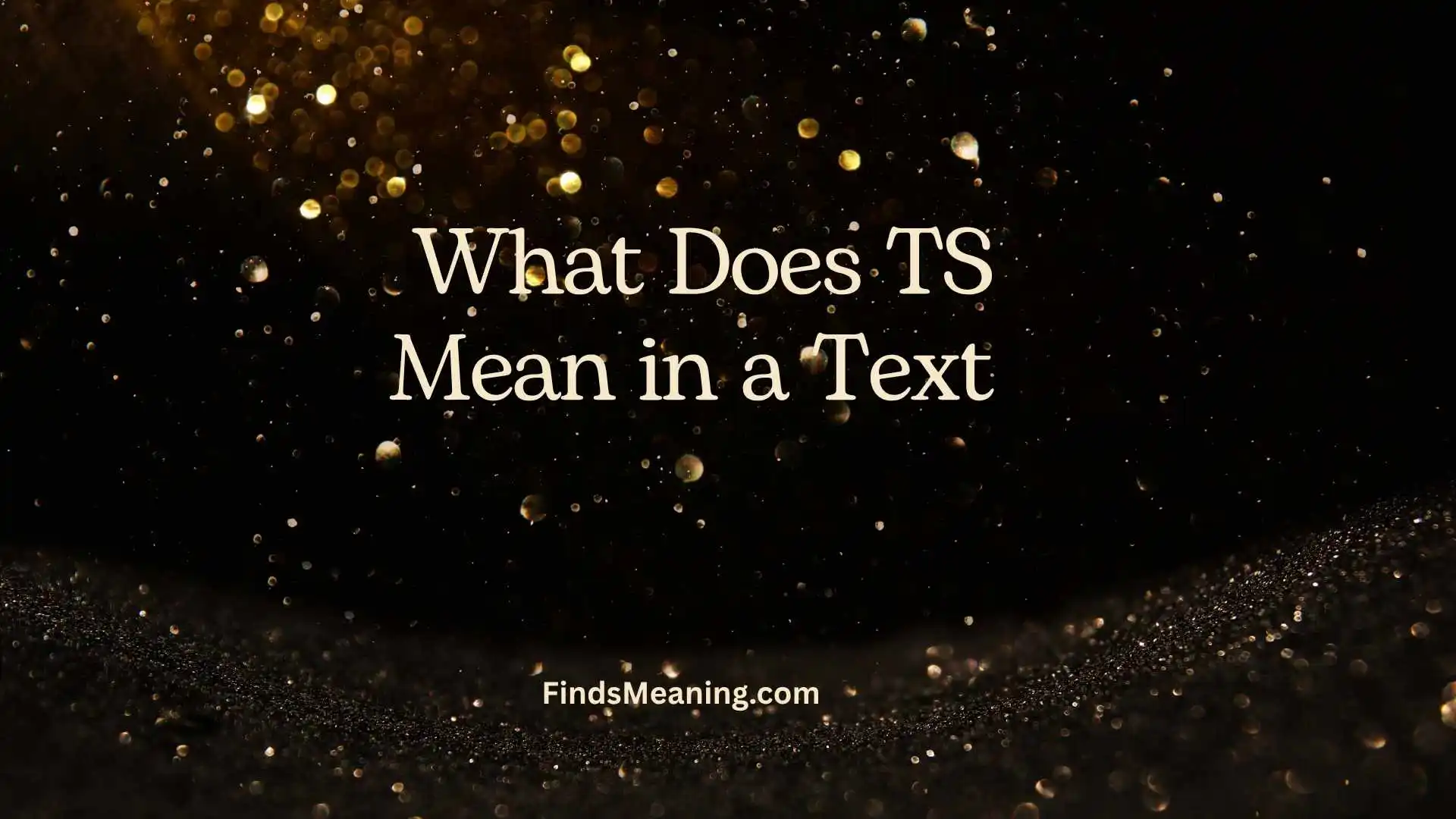 What Does TS Mean in a Text 
