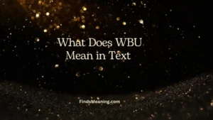 What Does WBU Mean in Text