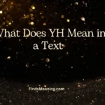 What Does YH Mean in a Text 