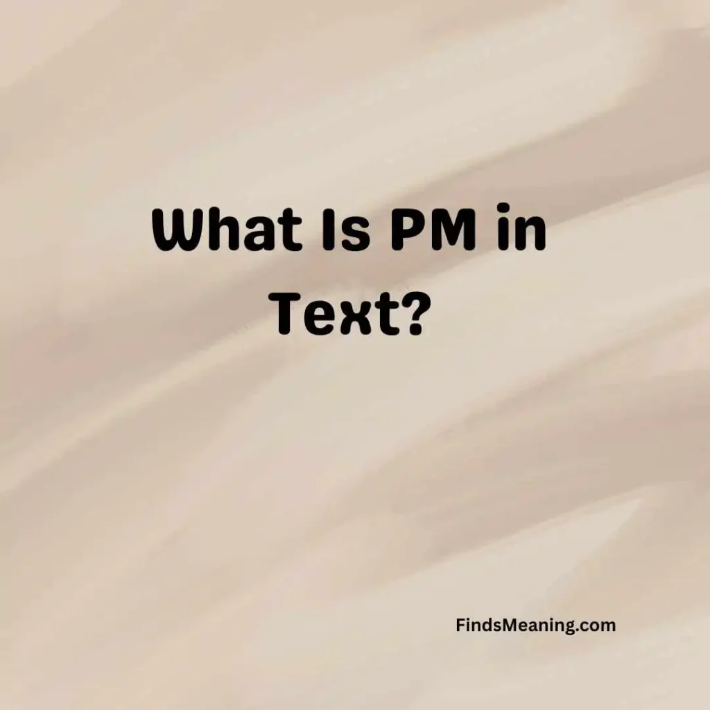 What Is PM in Text
