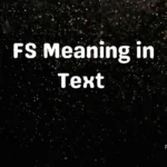 FS Meaning in Text