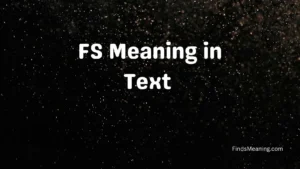 FS Meaning in Text