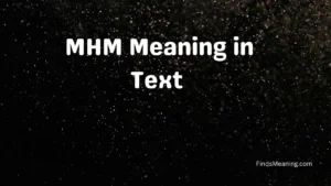 MHM Meaning in Text