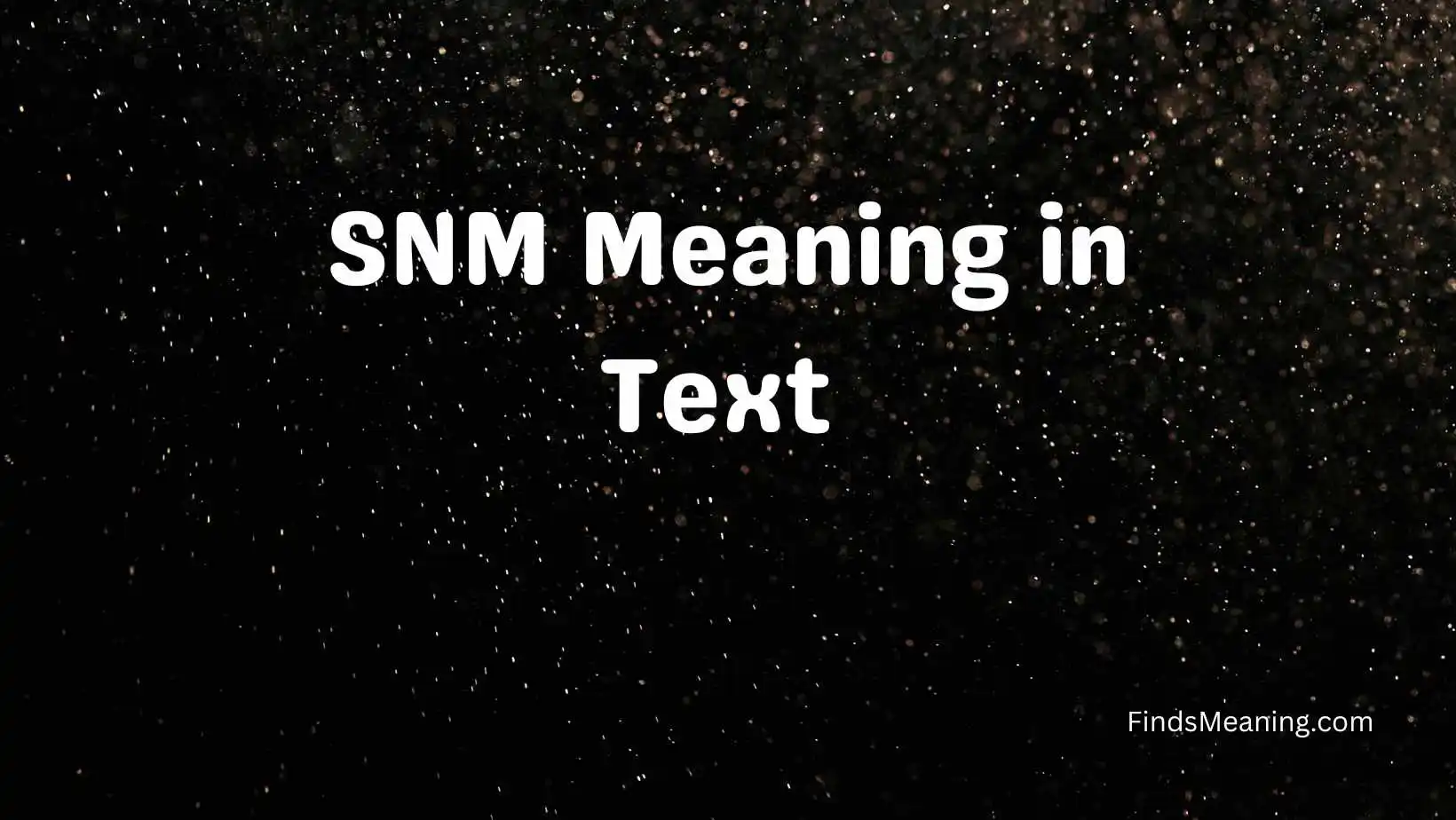SNM Meaning in Text 