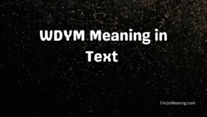 WDYM Meaning in Text 
