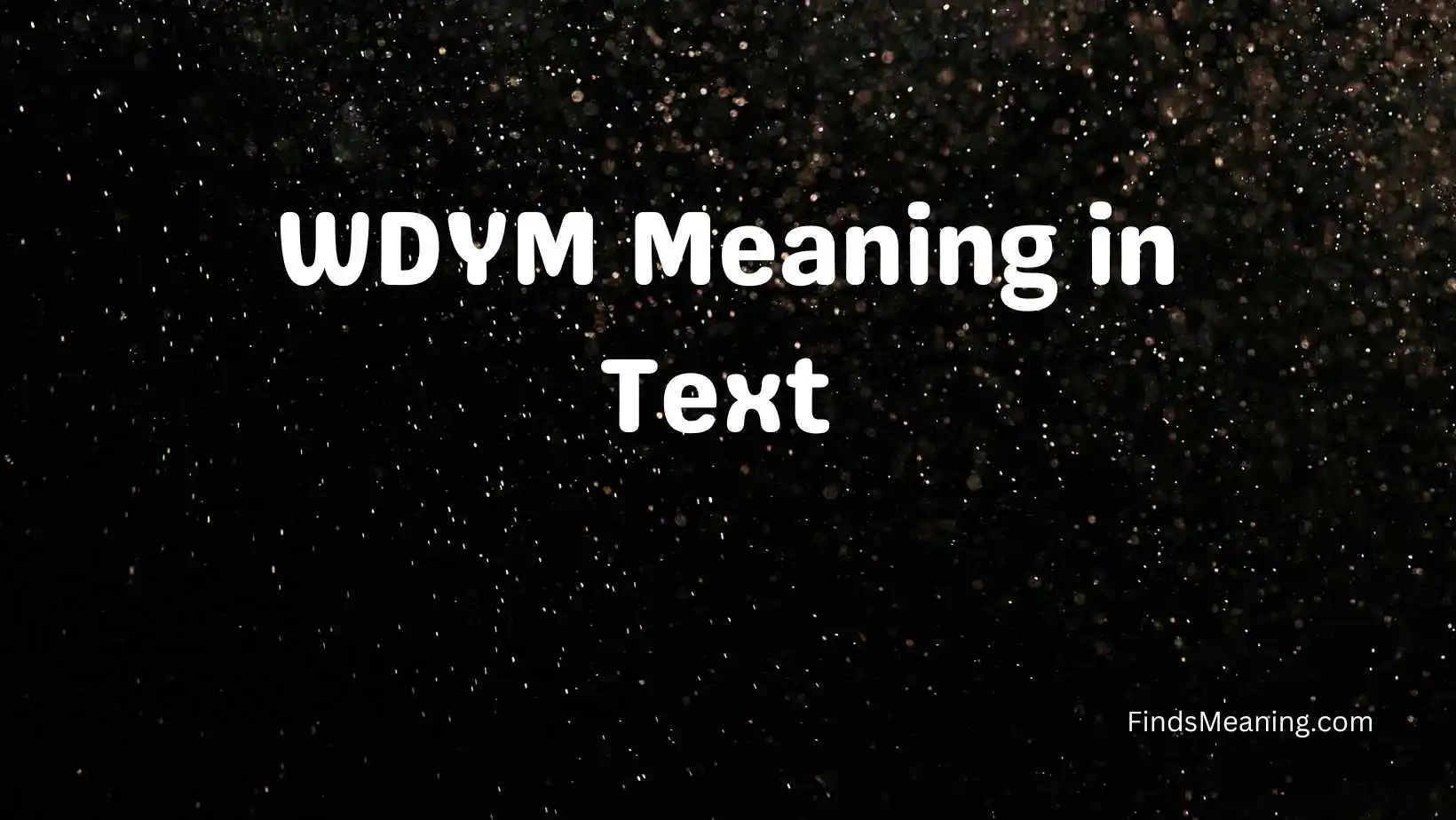 WDYM Meaning in Text 
