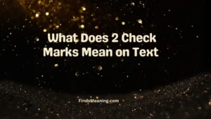 What Does 2 Check Marks Mean on Text