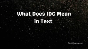 What Does IDC Mean in Text 