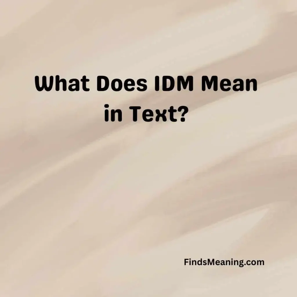 What Does IDM Mean in Text