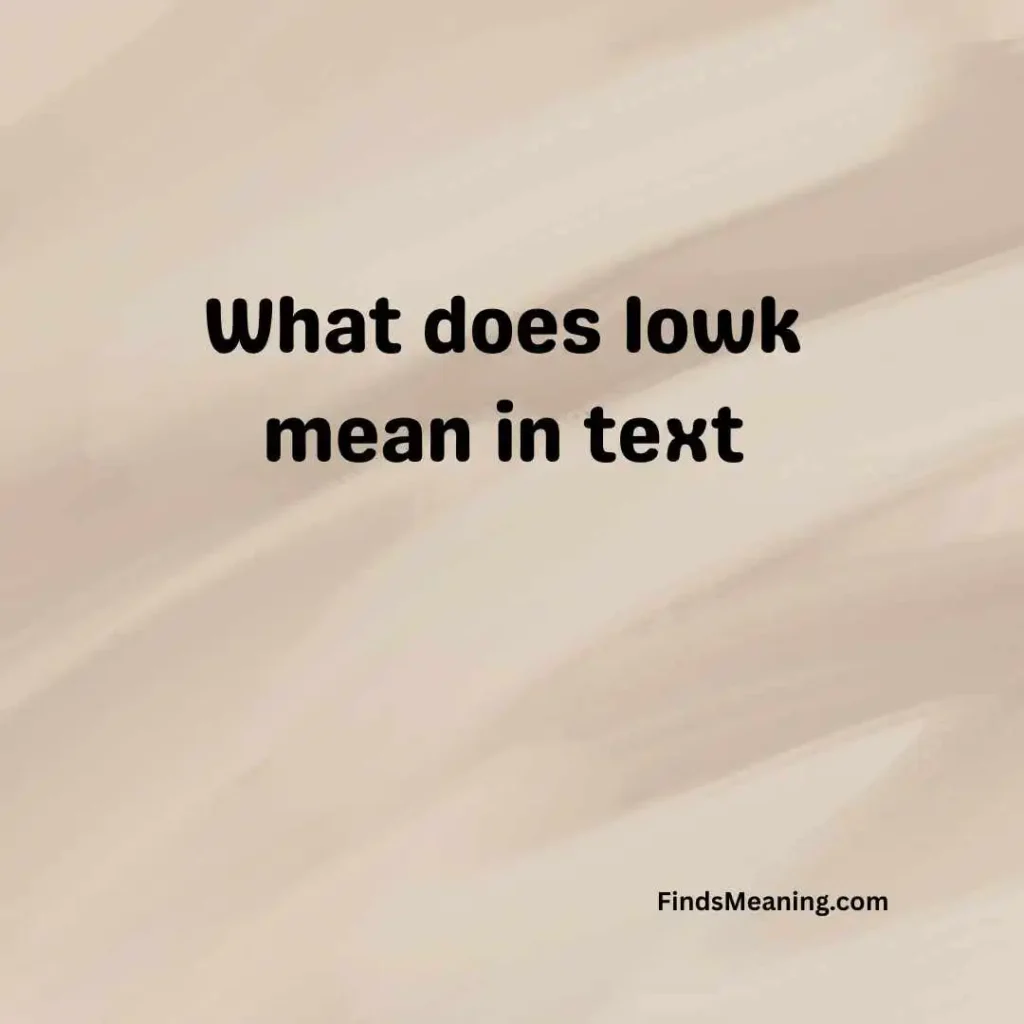 What does lowk mean in text