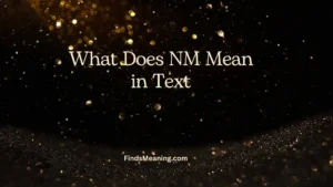 What Does NM Mean in Text