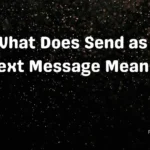 What Does Send as Text Message Mean 