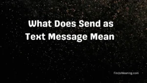 What Does Send as Text Message Mean 