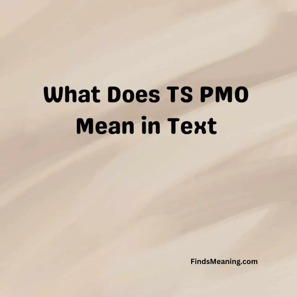 What Does TS PMO Mean in Text