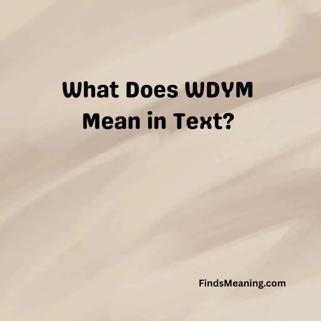 What Does WDYM Mean in Text