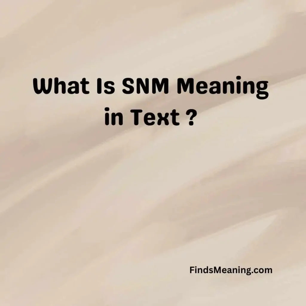 What Is SNM Meaning in Text