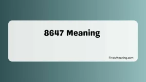 8647 Meaning