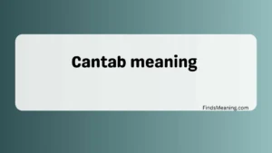 Cantab meaning