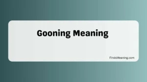 Gooning Meaning