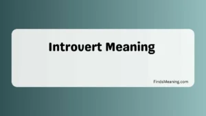 Introvert Meaning