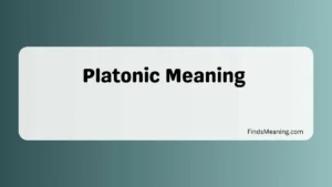 Platonic Meaning